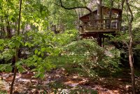 treehouse lodging.jpg